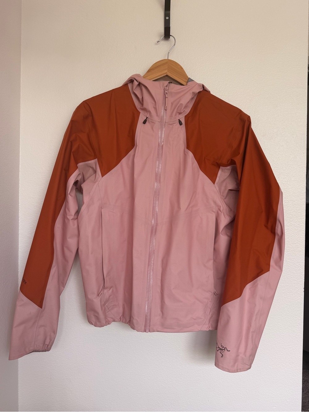 Coelle shell
